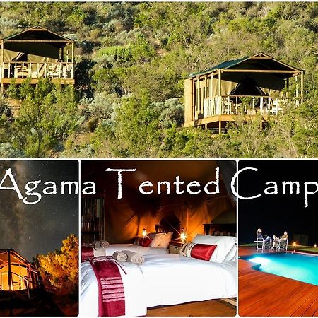 Agama Tented Camp Garies Esterno foto