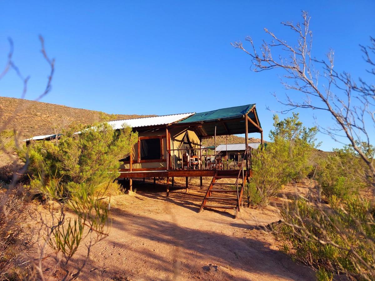 Agama Tented Camp Garies Esterno foto