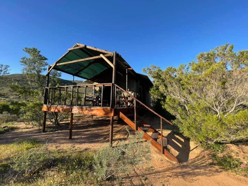 Agama Tented Camp Garies Esterno foto