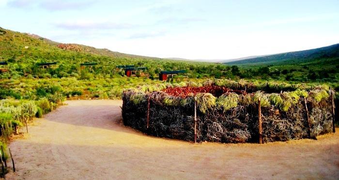 Agama Tented Camp Garies Esterno foto
