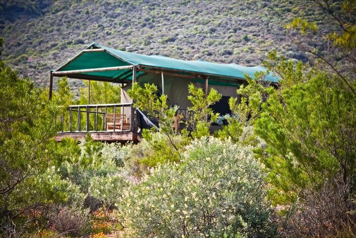 Agama Tented Camp Garies Esterno foto