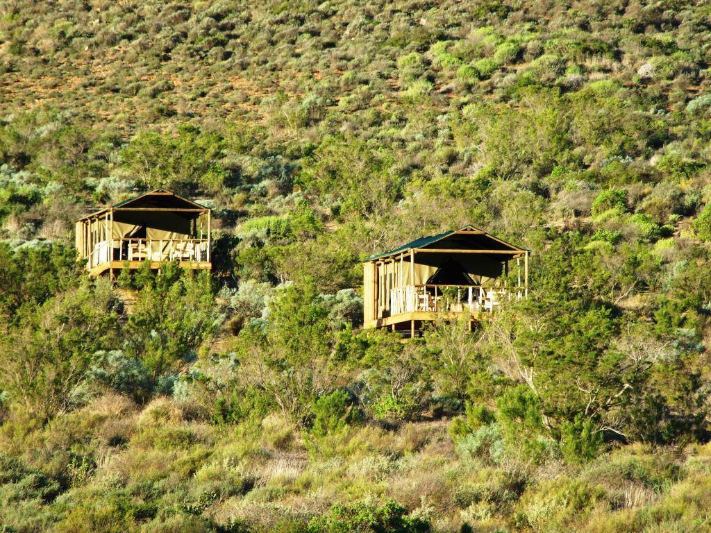 Agama Tented Camp Garies Esterno foto