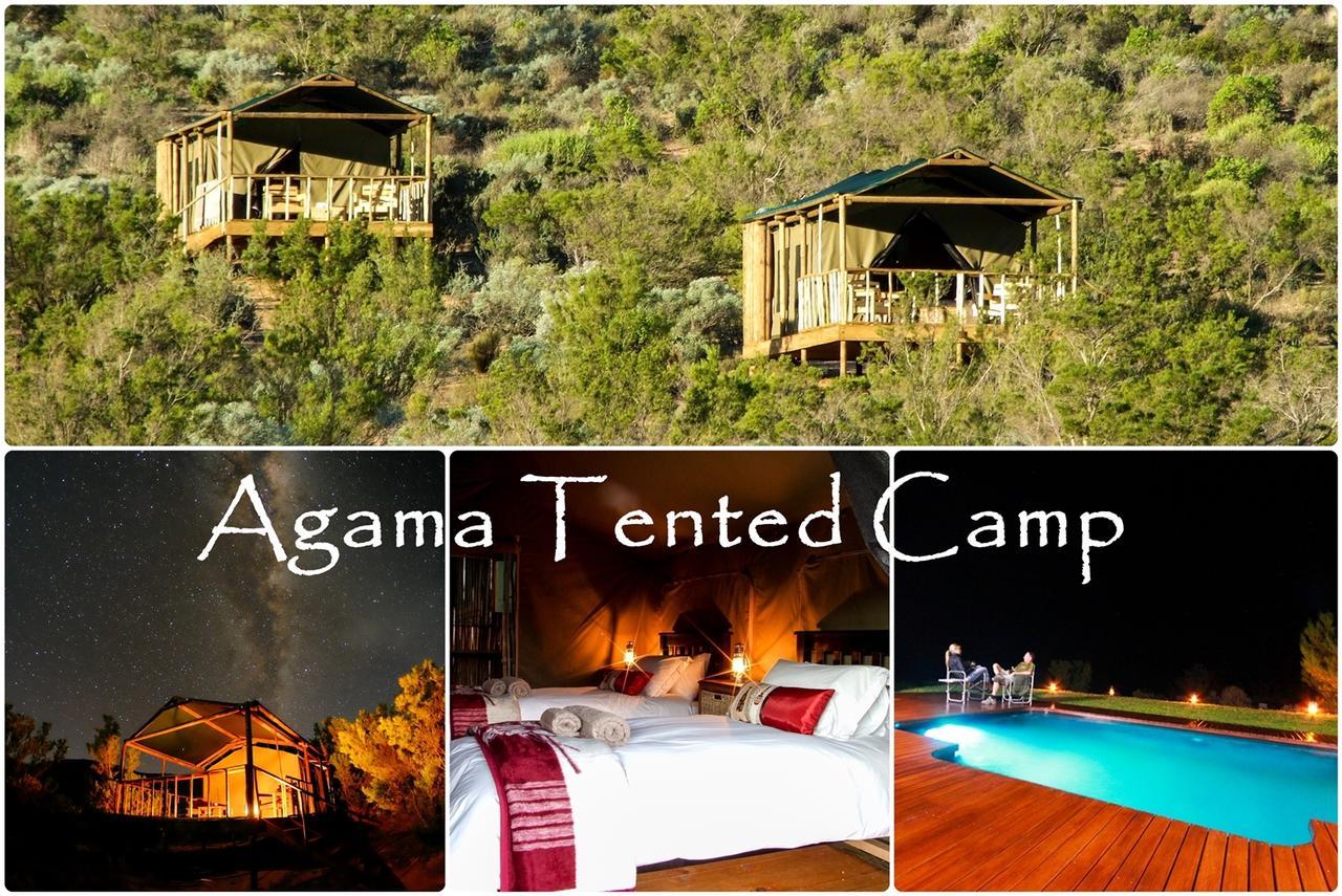 Agama Tented Camp Garies Esterno foto